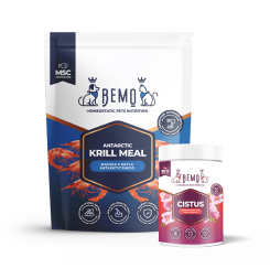  Naturalne suplementy diety 